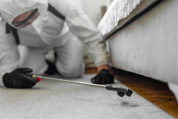 Professional Termite Control technician working in Loughman, FL