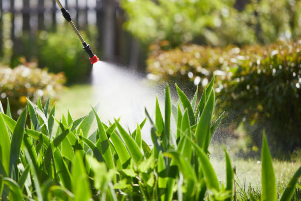 24/7 Emergency Termite Control experts in Loughman, FL